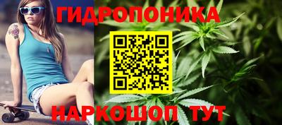 MESCALINE Камышлов