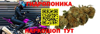 MESCALINE Камышлов