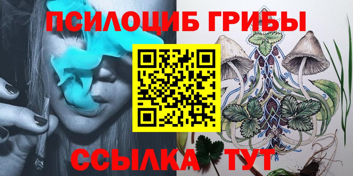 Уфа  Галлюциногенные грибы Cubensis  Вход с VPN 