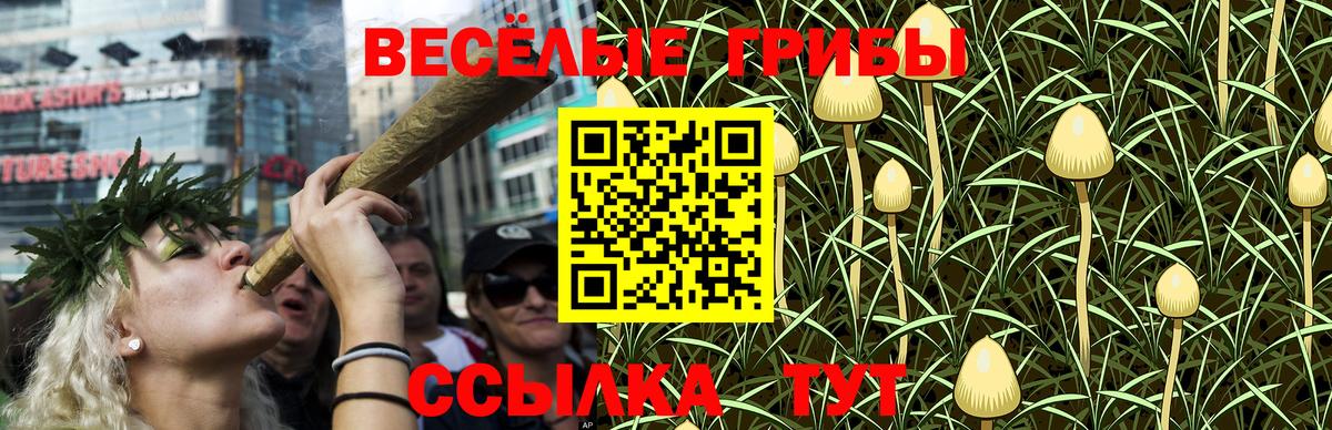 Галлюциногенные грибы Cubensis Уфа